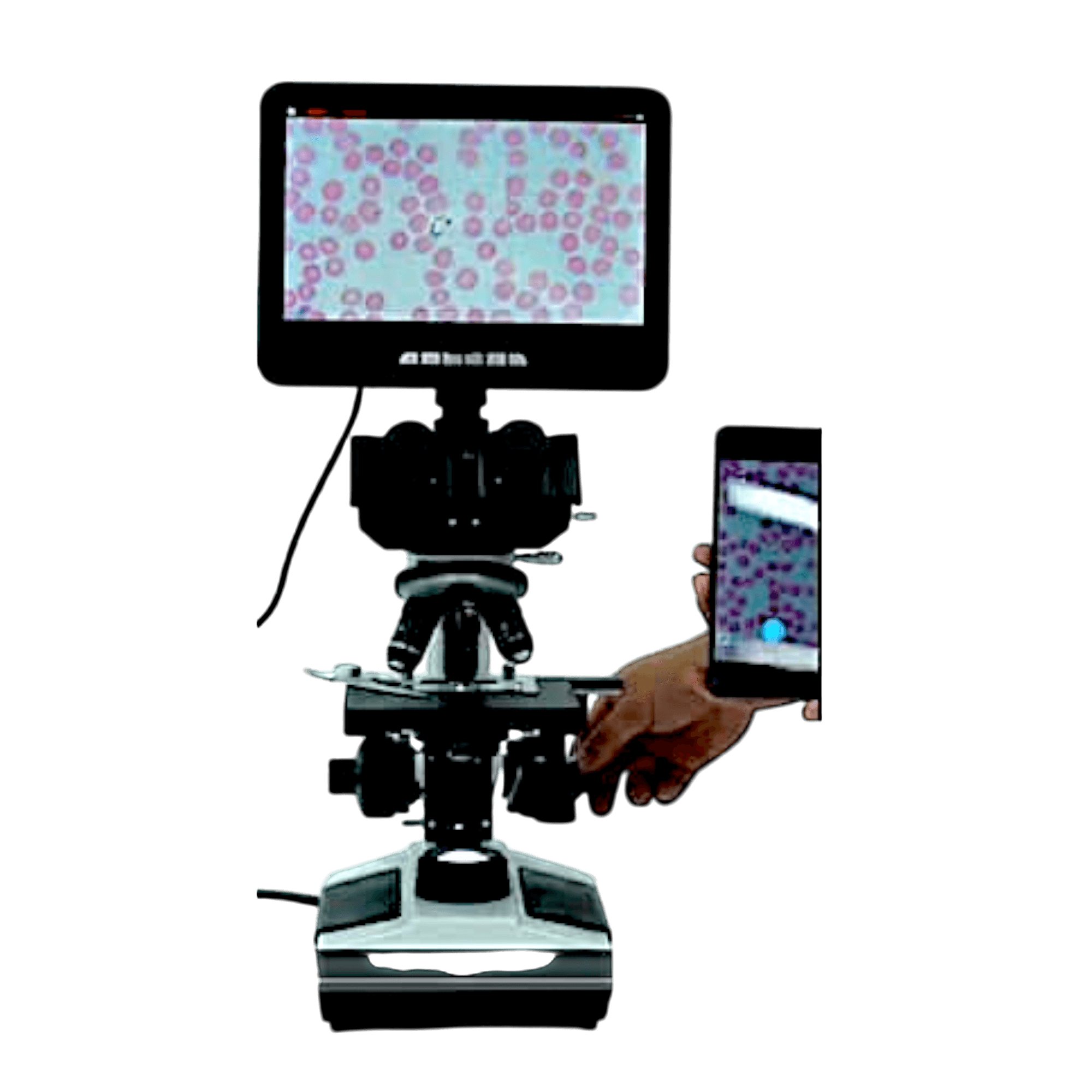 Kính hiển vi có camera